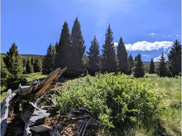 3119 Segal, Fort Garland, CO 81133