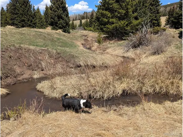 3119 Segal, Fort Garland, CO 81133