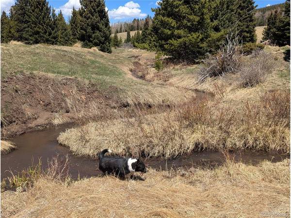 3119 Segal, Fort Garland, CO 81133