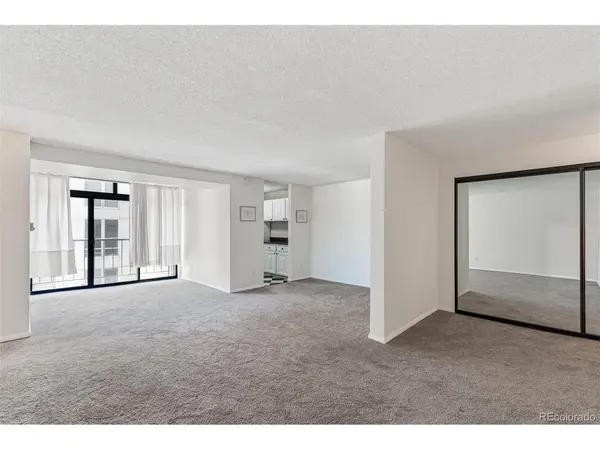 2 Adams #910, Denver, CO 80206