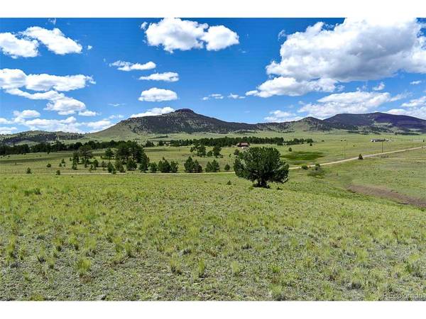 4680 County Road 71, Guffey, CO 80820