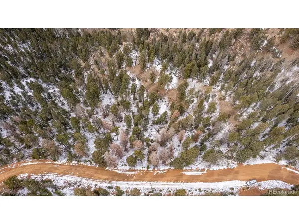 3388 N Mountain Estates, Florissant, CO 80816