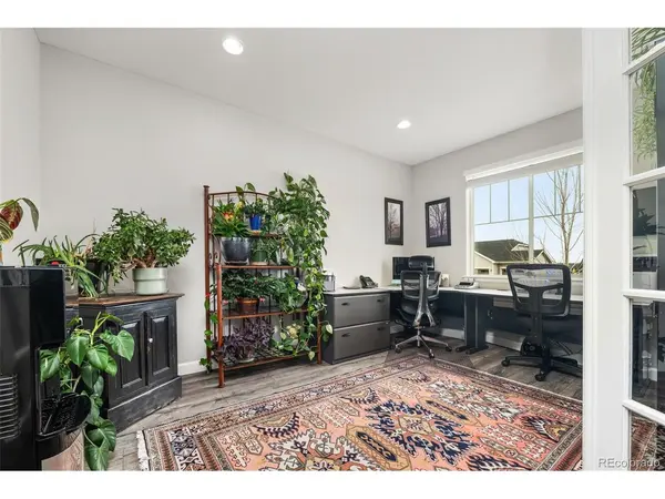 6749 Mentha, Castle Rock, CO 80108