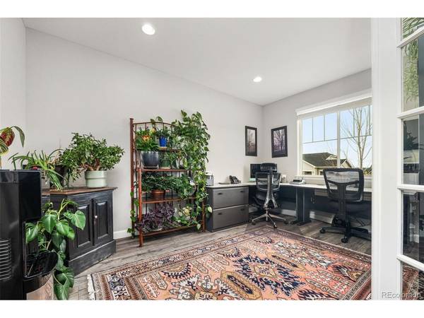6749 Mentha, Castle Rock, CO 80108