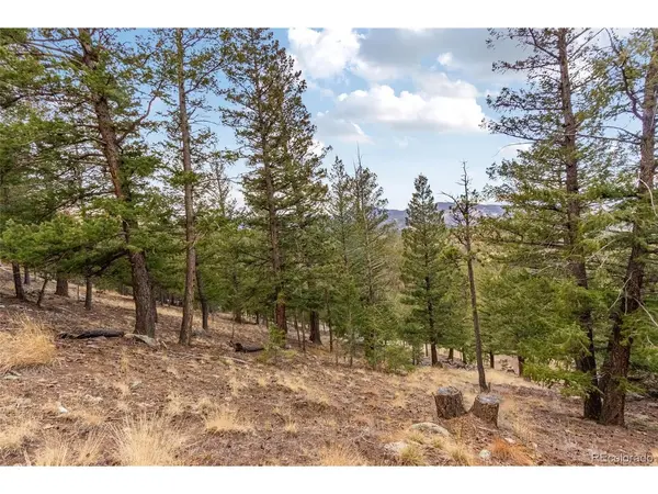 0 Upper Moss Rock, Golden, CO 80401