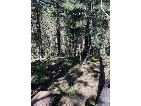 452 Wilson, Florissant, CO 80816