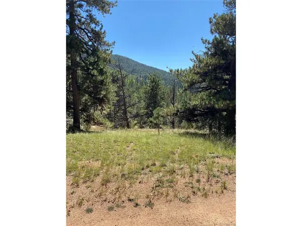 452 Wilson, Florissant, CO 80816