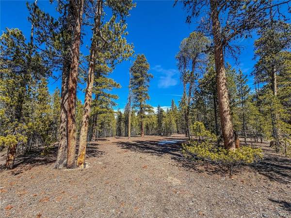 199 Cedar, Twin Lakes, CO 81251