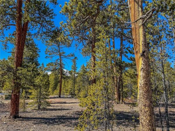 199 Cedar, Twin Lakes, CO 81251