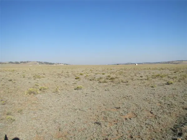 0 Buffalo, Hartsel, CO 80449