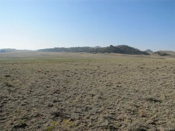 0 Buffalo, Hartsel, CO 80449