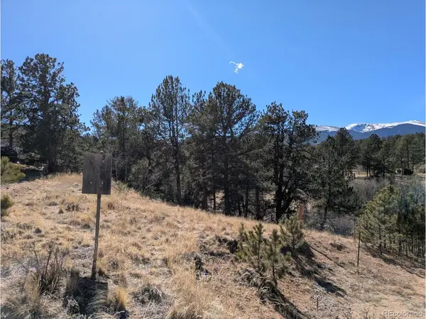 261 Appleby, Bailey, CO 80421