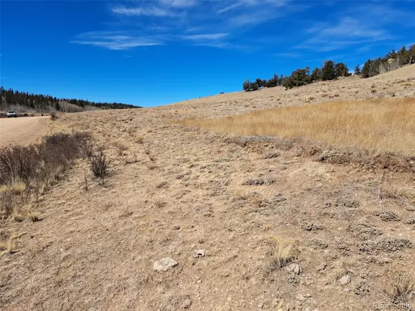 3646 Remington, Como, CO 80432