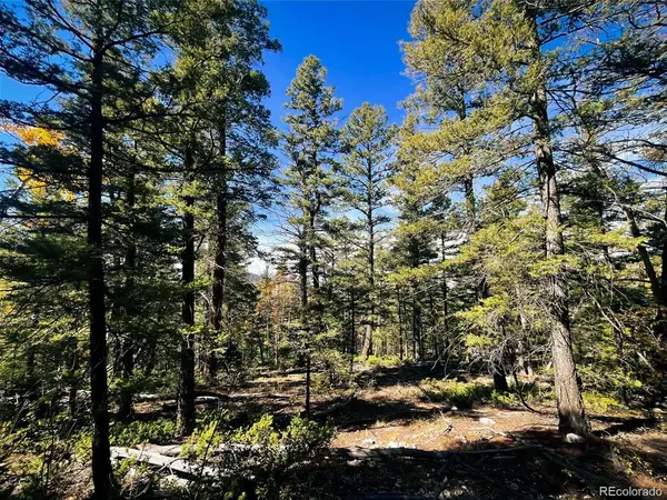 6187 Starkbeather, Fort Garland, CO 81133