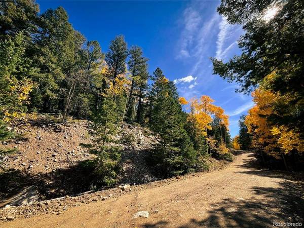 6187 Starkbeather, Fort Garland, CO 81133