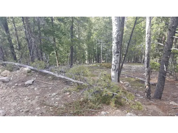0 Ohio Gulch, Dumont, CO 80436