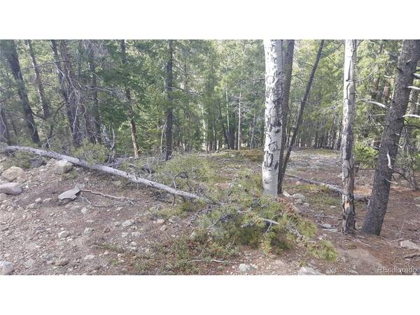 0 Ohio Gulch, Dumont, CO 80436