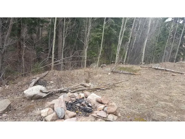0 Ohio Gulch, Dumont, CO 80436