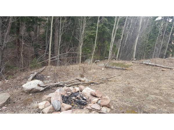 0 Ohio Gulch, Dumont, CO 80436