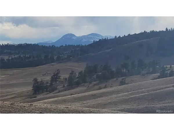 1194 Yellowstone, Hartsel, CO 80449
