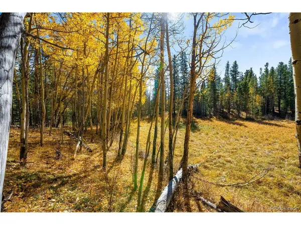 30 Serenity, Fairplay, CO 80440