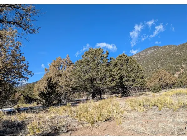 4229 Radiant, Crestone, CO 81131