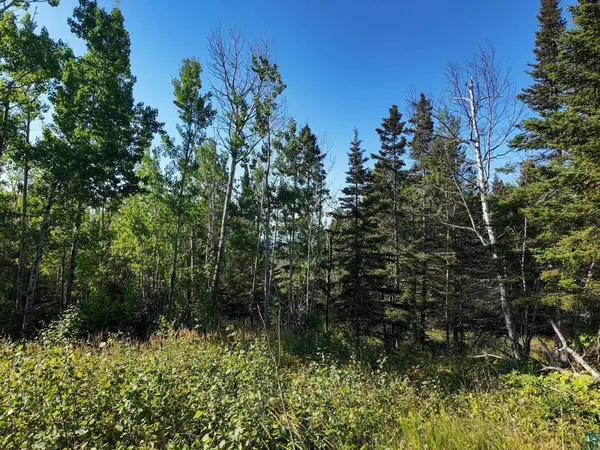 XXX Caspers Hill Rd, Grand Marais, MN 55604