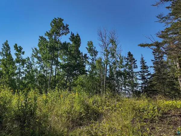 XXX Caspers Hill Rd, Grand Marais, MN 55604