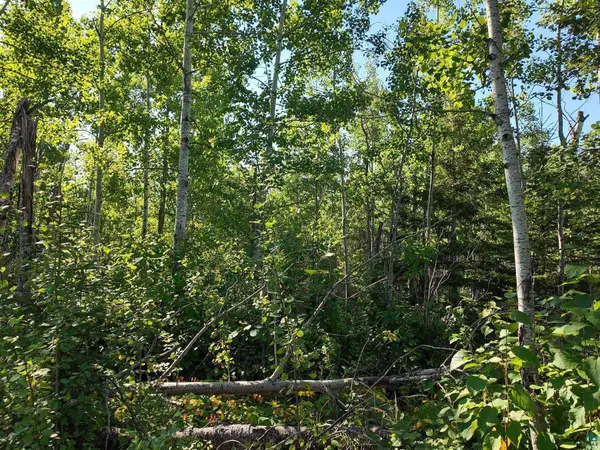 XXX Caspers Hill Rd, Grand Marais, MN 55604