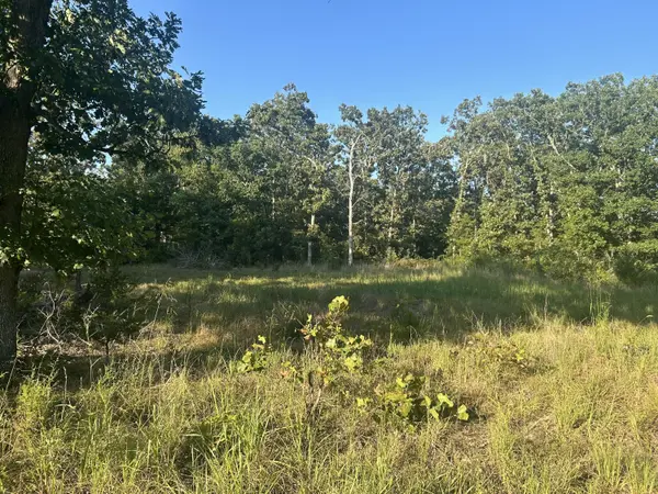 000 County Road 2340, Salem, MO 65560
