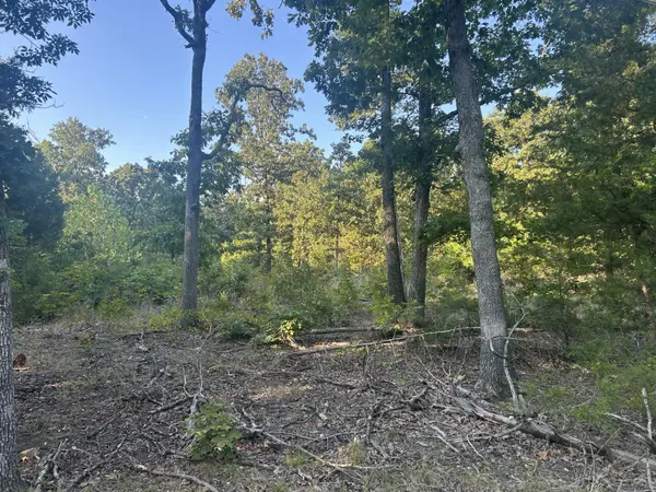 000 County Road 2340, Salem, MO 65560