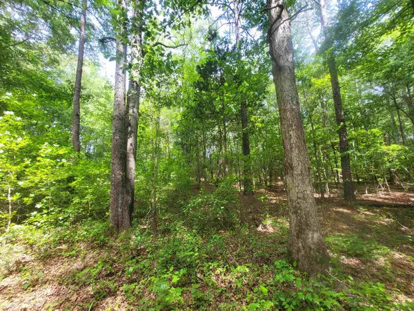 162 Courtney RD, Cowpens, SC 29330