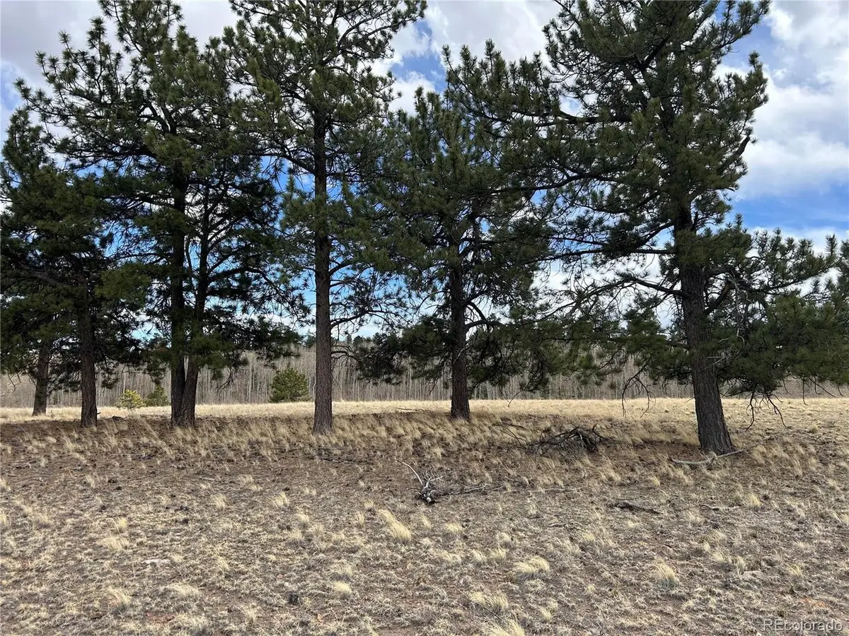 304 Brahma, Hartsel, CO 80449