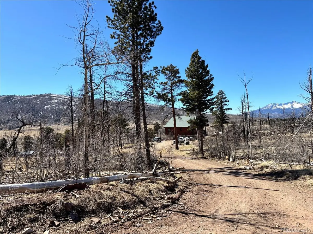 0 Marriot Circle, Fort Garland, CO 81133