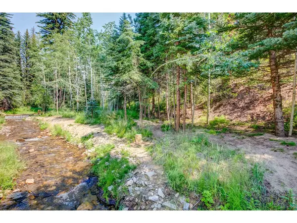 1142 Streamside, Glen Haven, CO 80532