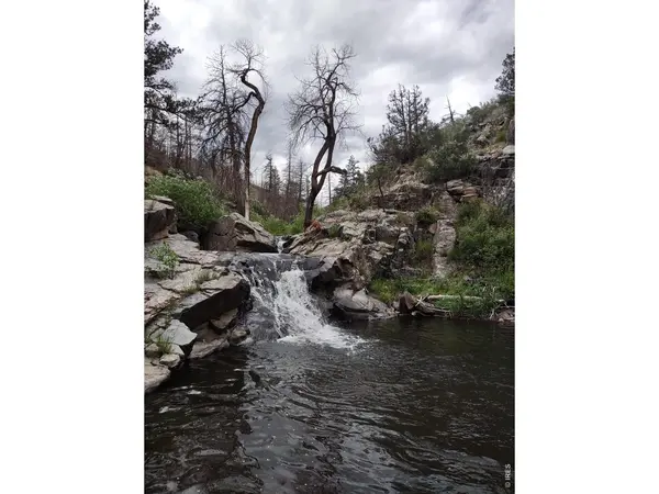 439 Redtail Ridge, Bellvue, CO 80512