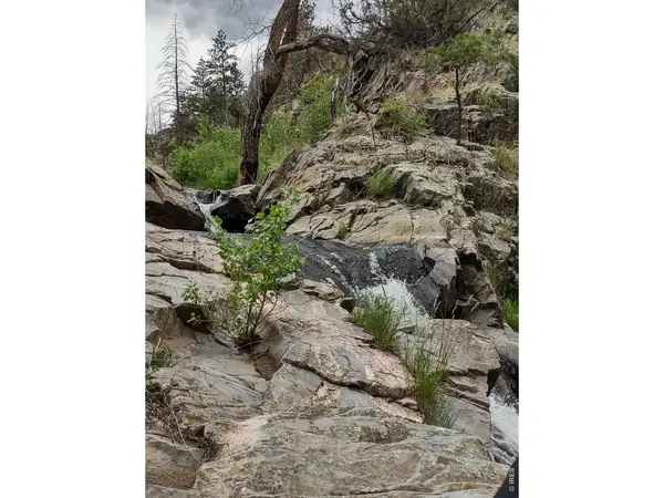439 Redtail Ridge, Bellvue, CO 80512