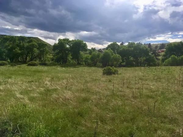 306 River, Lyons, CO 80540