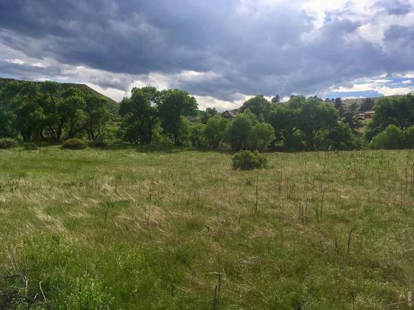 306 River, Lyons, CO 80540