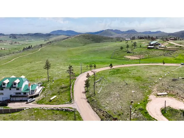 181 Meadow Mountain, Livermore, CO 80536
