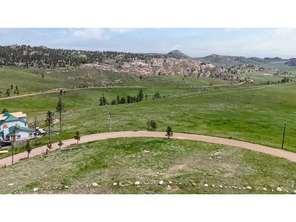 181 Meadow Mountain, Livermore, CO 80536