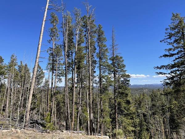 66 Piegan, Red Feather Lakes, CO 80545