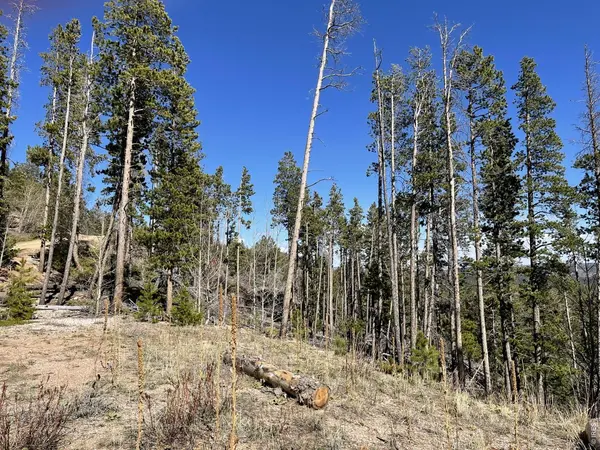 66 Piegan, Red Feather Lakes, CO 80545