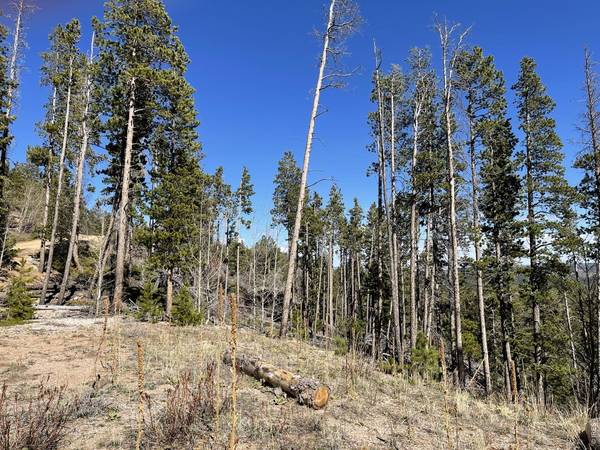 66 Piegan, Red Feather Lakes, CO 80545