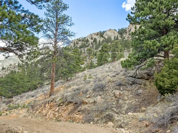 825 Castle Mountain, Estes Park, CO 80517
