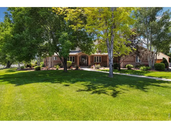 3806 Singletree, Mead, CO 80542
