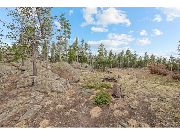 10157 Horizon View, Morrison, CO 80465
