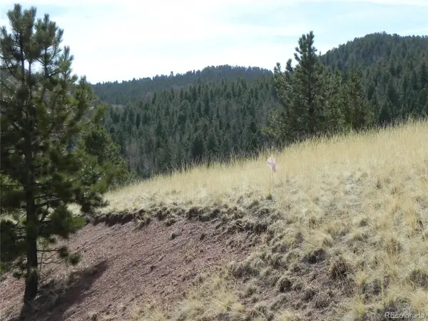 1058 Monarch, Cripple Creek, CO 80813