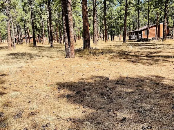 BLK2 LOT 7, Weston, CO 81091