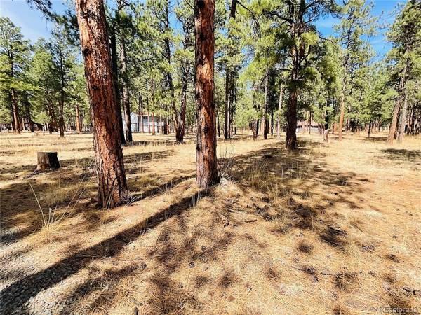 BLK2 LOT 7, Weston, CO 81091